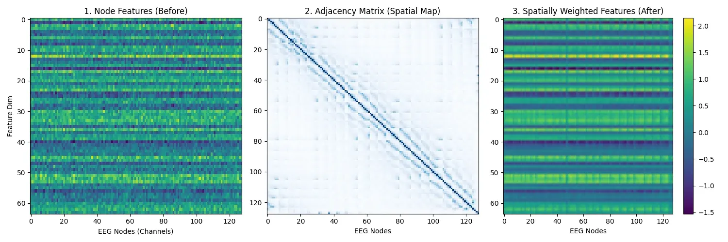 Spatial scaling effect