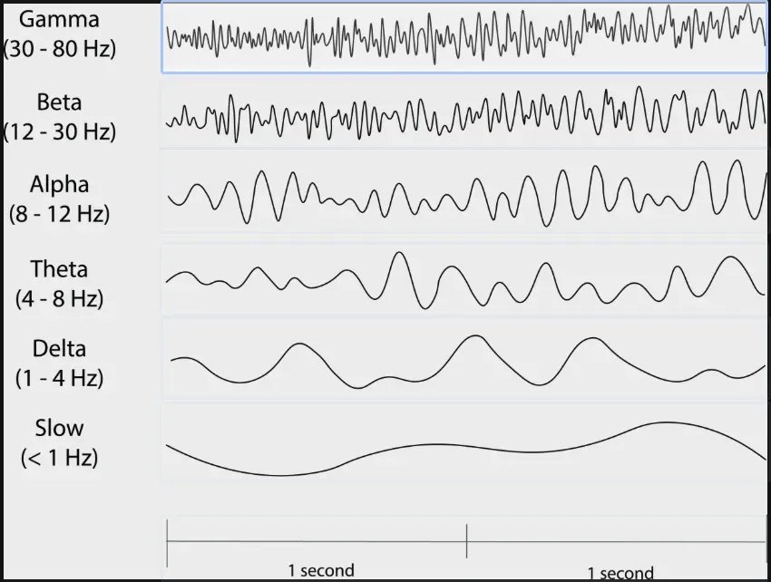 Brainwave types and frequencies