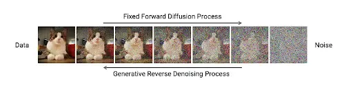 Fixed forward diffusion process
