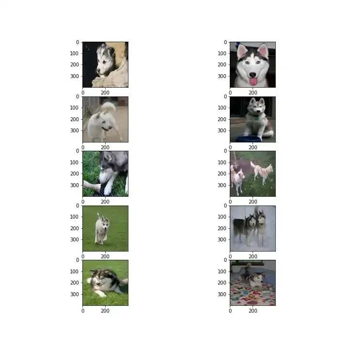 Post Training EDA Image