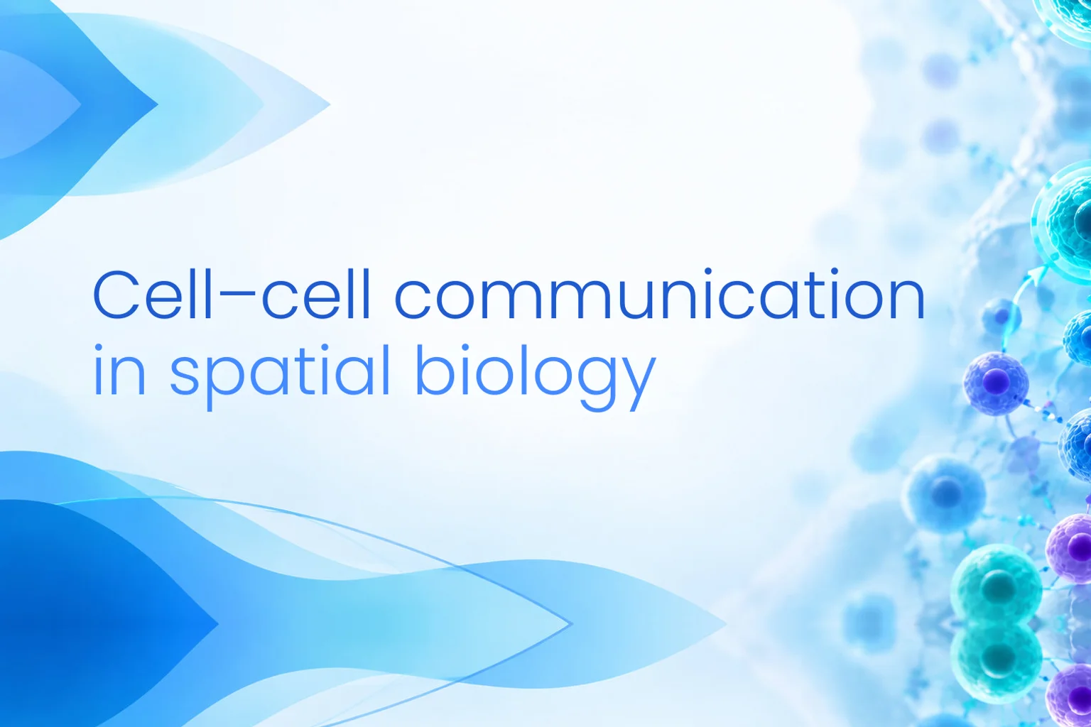 Decoding Cell–Cell Communication in Spatial Biology: From Ligand–Receptor Scoring to Graph Neural Networks
